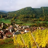 L'Alsace tout comme la Champagne ont tellement de spécificités qu'elles pourraient se suffire à elles-mêmes. Ce qui n'est pas forcément le cas des aut