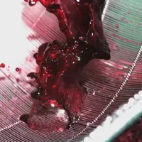 L’utilisation combinée de l’enzyme Rapidase Maxifruit et de la levure Fermicru XL permet de stabiliser la couleur des vins rouges, et