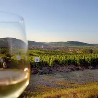 "Boire du vin, c'est boire de l'espace et du temps", Gilbert Garrier, historien.