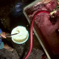 Le choix de la colle se fait en fonction du vin et des contraintes.