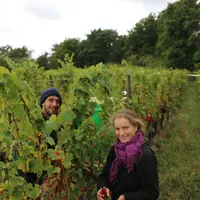 Domaine Beck-Hartweg en Alsace