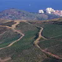 Les désherbants d'origine naturelle, s'ils sont abandonnés en Loire Atlantique, pourraient donner de meilleures résultats dans les conditions climrati