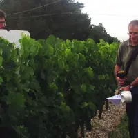 Le Greenseeker d'AvidorHighTech, passé un mois après floraison, donne un NDVI corrélé au taux final d'attaque de botrytis.