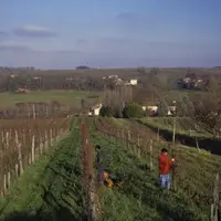 LES SYNDICATS ET INSTITUTIONS TRADITIONNELLES s’attèlent
à mettre en œuvre le plan bordeaux
avec de multiples projets.