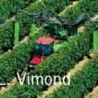 EN UTILISANT DES DOSES DE 10 KG/HA de produits azotés autorisés en viticulture biologique, l’IFV a obtenu un gain d’azote dans les moûts variant de 20