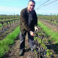Bernard Angelras  vient de prendre la présidence du pôle de recherche appliquée de l’IFV Rhône Méditerranée