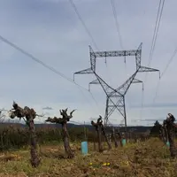 La nouvelle organisation du marché de l'électricité en France prévoit la suppression du tarif vert ou jaune à la fin de l'année.