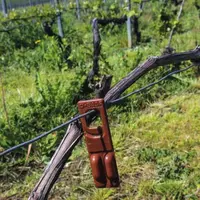 Une fois les diffuseurs positionnés dans la vigne, les vignerons ne doivent pas se dédouaner des mesures de suivi qui permettent d’évaluer la pression