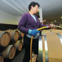 L’hygiène des barriques est essentielle pour éviter la contamination du vin. Les procédés de désinfection sont de plus en plus nombreux.