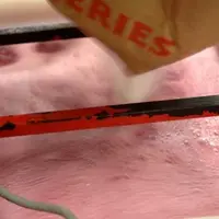 L’aide permettrait de compenser l’écart de coût entre le sucre et les moûts concentrés.