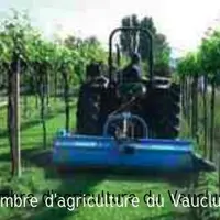 Le broyat issu de l'inter-rang est actuellement à l'étude comme solution de mulch sous le rang, par la chambre d'agriculture du Vaucluse.