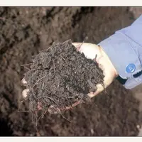 Les amendements organiques sont à privilégier, indique le CIVC, si l’on veut réduire les émissions de N2O, gaz à fort pouvoir de réchauffement, par le