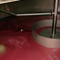 L'emploi de KiOfine-CG s'est révélé d'un efficacité comparable à l'utilisation de gélatine lors d'essais de clarification des moûts par flottation.