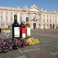 Peu de ville française possède leur propre vignoble. Toulouse est l'une d'entre-elles avec 26 hectares en pleine zone urbaine.