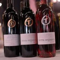 Les surfaces de vignobles cultivées en bio se sont fortement développées dans les pays traditionnellement producteurs de vins : “ elles se situent au-