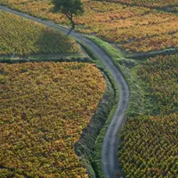 Le terroir sera la clé de la classification des vins du beaujolais.  Une meilleure connaissance de ce terroir devrait permettre de mieux le valoriser