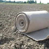 Préparation d'une plantation viticole. Les producteurs souhaitant obtenir une autorisation de plantation pour le segment des vins sans indication géog