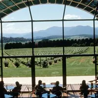 L'AWRI a lancé plusieurs expérimentations afin de trouver des solutions pour ramener les consommateurs australiens vers les vins de Chardonnay plutôt