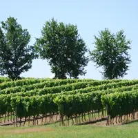 Plateforme Belchim dans le bordelais