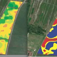 Les cartes de NDVI (indice de végétation normalisé), obtenues par satellite, avion, drone ou proxidétection 
(à gauche) peuvent ensuite 
être interp