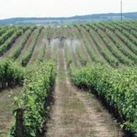 La pulvérisation foliaire a un coût qui varie entre 50 et 100 euros/ha.