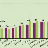 Des sols en manque de matière organique