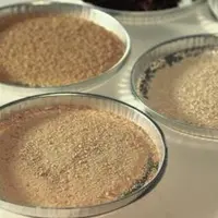 Le chitosane, issu du 
champignon Aspergilus niger, pourrait remplacer la gélatine 
pour les flottations.