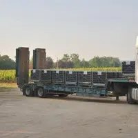 L’écotaxe transports, qui devrait être mise en place au 1er janvier 2014, va impacter le coût du transport pour les viticulteurs.