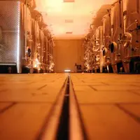 Selon une étude conduite par l’ICV, l’hygiène, la maîtrise des températures et le contrôle microbiologique permettent de limiter les risques liés à la