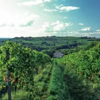 Le marché du foncier semble se réveiller à bordeaux : les transactions foncières ont crû de 118 % l’an dernier.