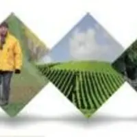 E-viticlimate est une plateforme d'apprentissage gratuite sur les effets du changement climatique en viticulture et les adaptations techniques possibl