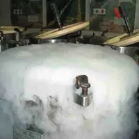 LA CARBOGLACE est livrée en bouchons solides de CO2 compactés à - 78 °C. En se réchauffant, le CO2 passe à l’état gazeux, ce qui assure la protection