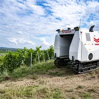 Le robot de pulvérisation viticole Yanmar YV01 a fait ses premières armes dans le vignoble champenois.