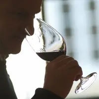 Les récentes recherches en matière d’arôme des vins montrent que les molécules responsables des défauts dégradent la qualité des vins avant même que l