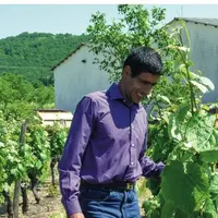 Sébastien Philibert, viticulteur 
installé en 2013 sur les terres 
de Vinovalie. “ La coopération attire 
à nouveau. ”