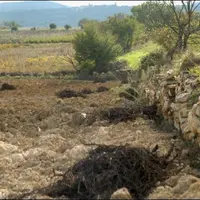 Les zones qui restent attractives pour la viticulture le sont aussi pour d’autres cultures.