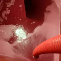Selon la technique de chauffage couplée à certains itinéraires de vinification post-chauffage, le profils des vins élaborés varie du fruité souple au