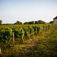 Finaliser un plan de filière à l'échelle du vignoble et valoriser la qualité, la complexité et la diversité des vins du Centre-Loire sont des objectif