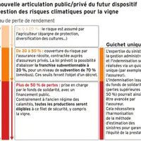 C’est parti pour la nouvelle assurance récolte !