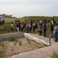 Le traitement des effluents vinicoles par lits plantés de roseaux permet de réduire l'impact environnemental de la cave par rapport à d'autres système