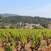 En 2018, 2% des surfaces de vignes ont changé de mains. © J. Gravé