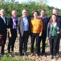 Les appellations graves, pessac-léognan, sauternes et barsac sont désormais officiellement unis pour assurer leur promotion collective. © CVGS
