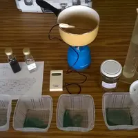 Pour la décoction, toute la préparation se réalise sous couvert pour éviter l'évaporation des principes actifs. © PRE