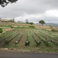 Les personnes exerçant une activité agricole bénéficient d'une insaisissabilité de droit de la résidence principale s'il s'agit d'honorer des dettes p