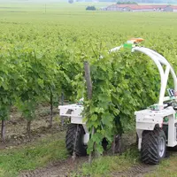 Ted, le robot de Naïo technologies s'exportera au-delà des frontières de l'Hexagone dès 2020. © X. Delbecque