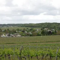 Les biens loués par bail rural à long terme bénéficient d'abattements spécifiques pour les droits de mutation dans le cadre d'une donation. © C. Gerbo