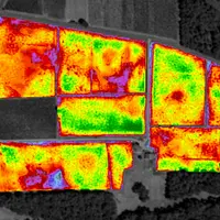 Le service Œnoview permet de traduire en cartes la surface foliaire de la vigne et les caractéristiques de vigueur et d'hétérogénéité. © ICV