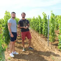 Thomas Gomes (à droite) et Guillaume Clemenceau ont commencé par travailler la syrah sur une parcelle de Maury, avant de décider de planter ce cépage