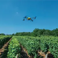Les drones en viticultures sont principalement utilisés pour réaliser des cartographies montrant l'indice de végétation NDVI des parcelles. © BIVB