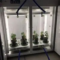 Les plants de chasselas ont développé 95 % de mildiou en moins dans une atmosphère contenant de la vapeur d'huile essentielle d'origan. © HES-SO